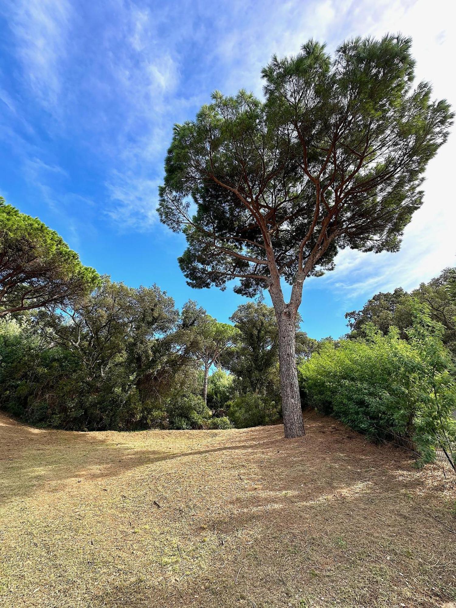 Villa Boca A Gigaro - Avec Vue Et Piscine Chauffee La Croix-Valmer Exterior foto